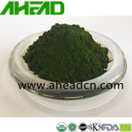 Chlorella Powder 
