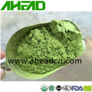 Matcha Powder