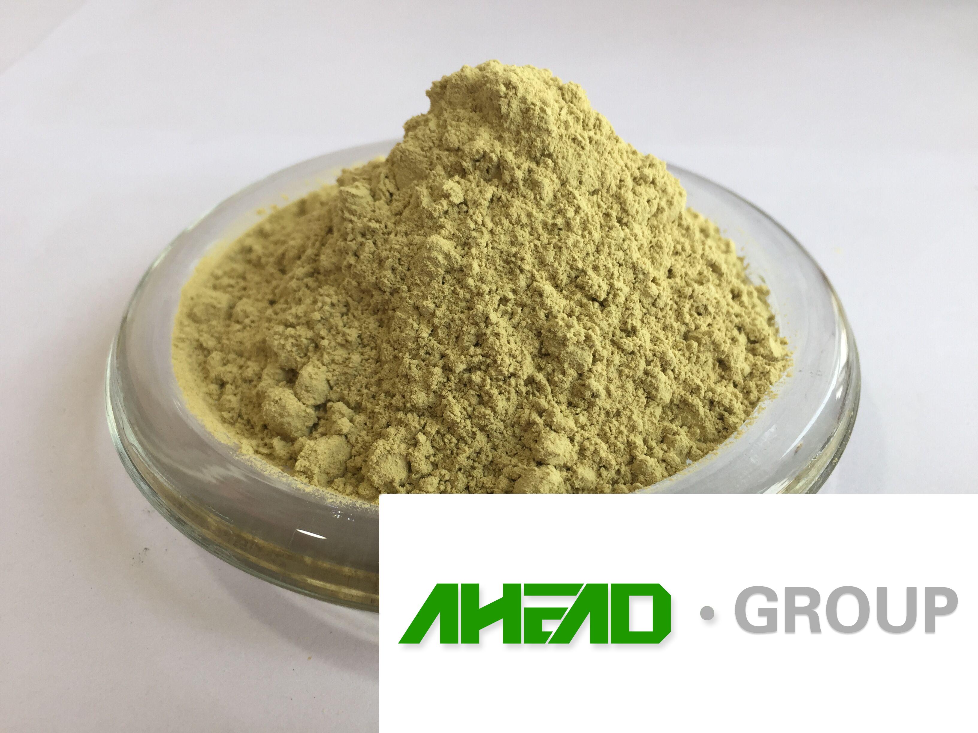 Balsam pear powder 