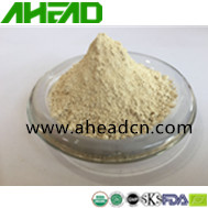 Rice Protein Powder